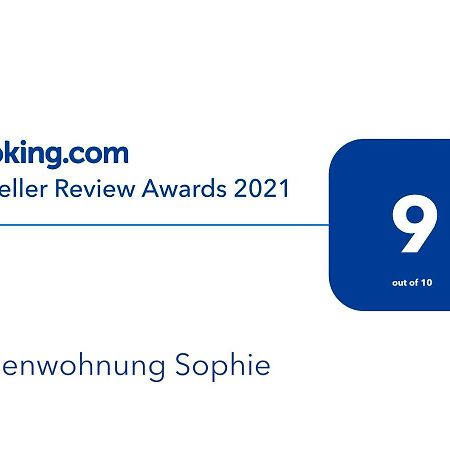 Ferienwohnungen Sophie Saarbrucken Bagian luar foto