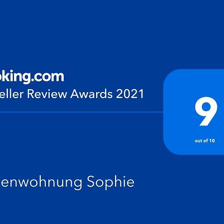 Ferienwohnungen Sophie Saarbrucken Bagian luar foto